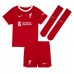 Liverpool Alexander-Arnold #66 Heimtrikot 2023-24 Kurzarm (+ kurze hosen)